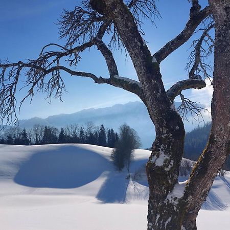 Bergapart Goetschl Rettenschoess Dış mekan fotoğraf