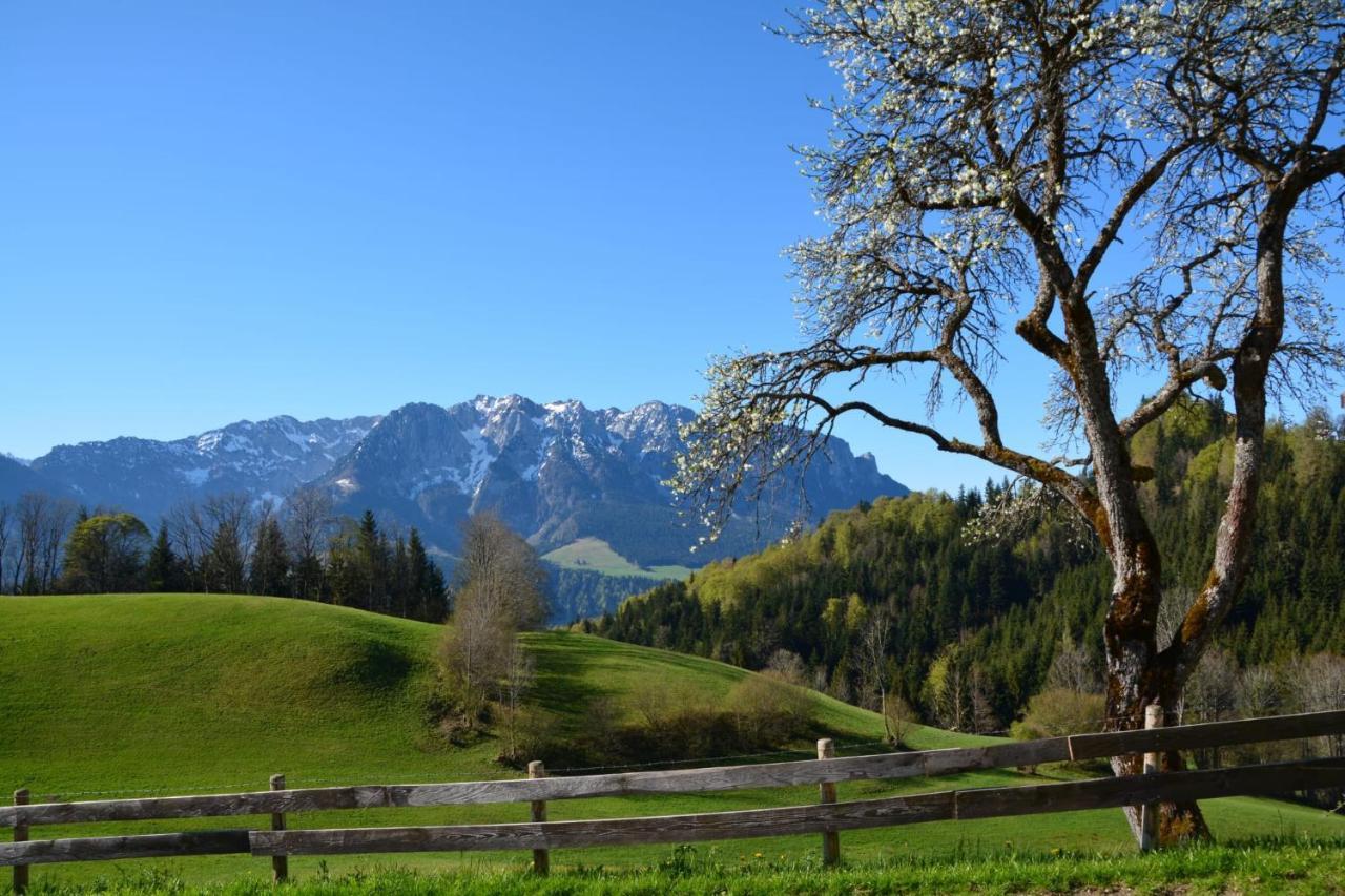Bergapart Goetschl Rettenschoess Dış mekan fotoğraf