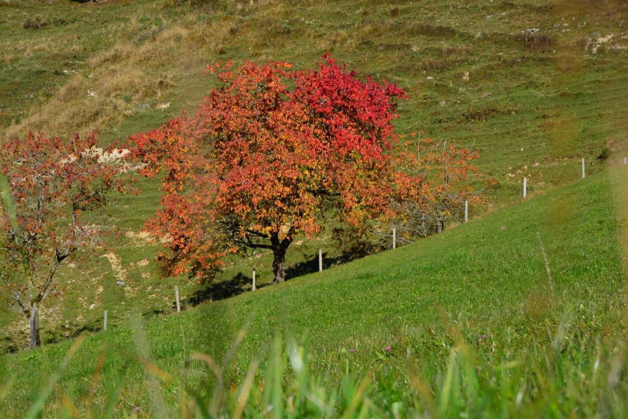 Bergapart Goetschl Rettenschoess Dış mekan fotoğraf