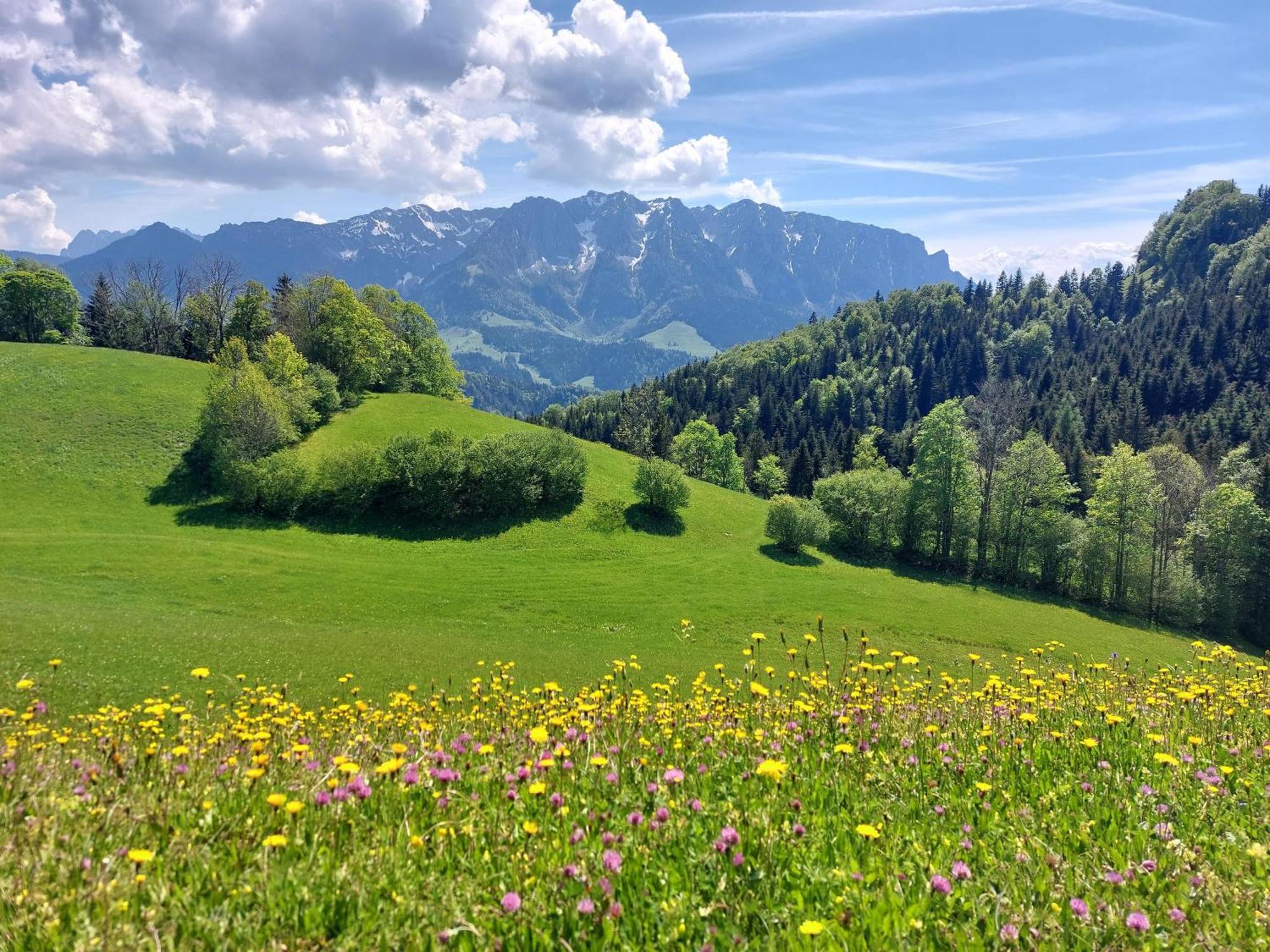 Bergapart Goetschl Rettenschoess Dış mekan fotoğraf