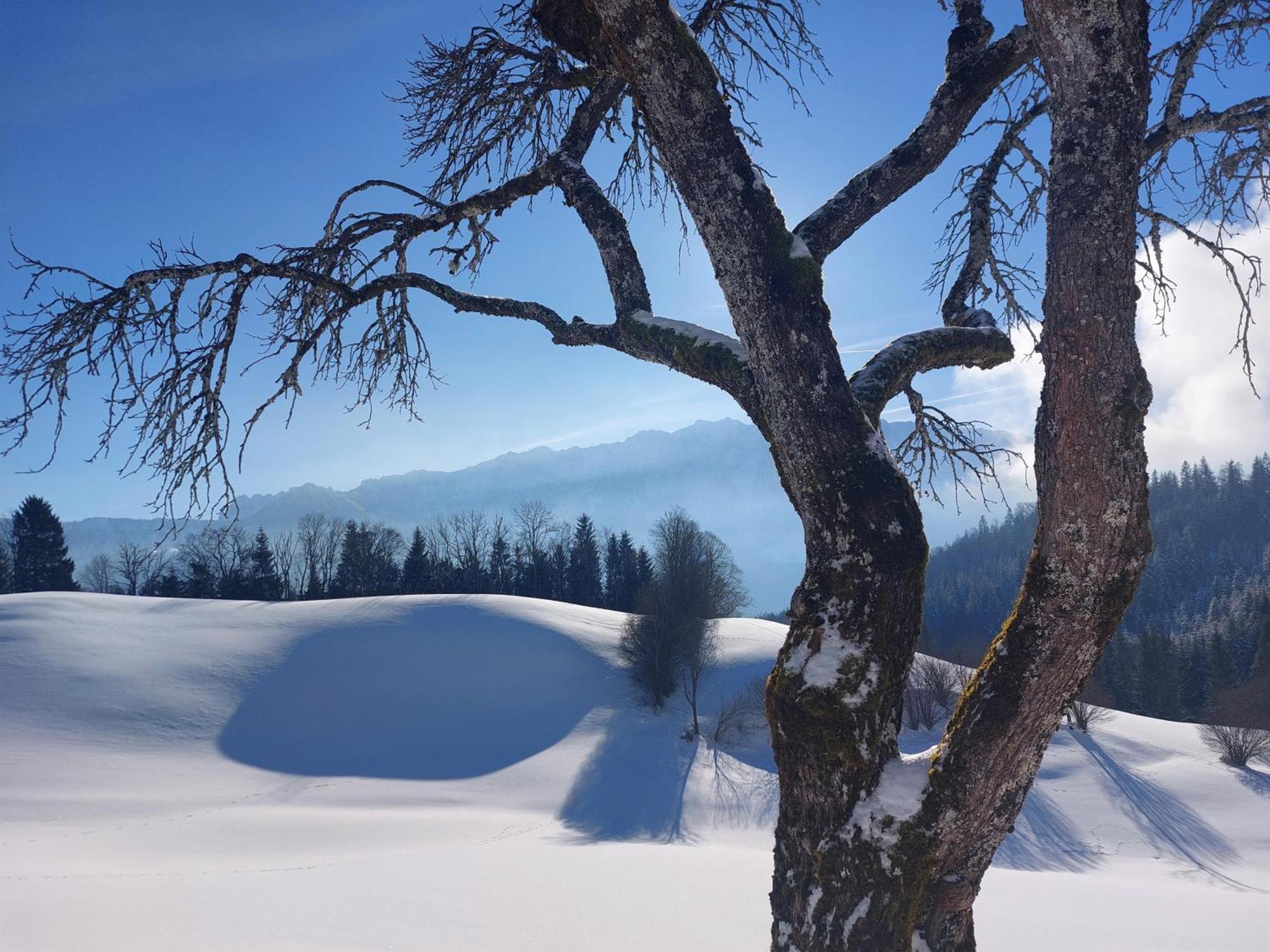 Bergapart Goetschl Rettenschoess Dış mekan fotoğraf
